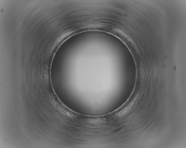 X0000075361025200609251056