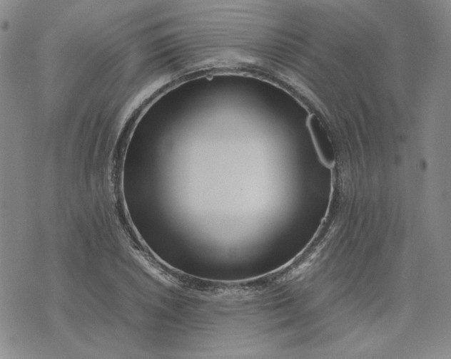 X0000075361026200609251056