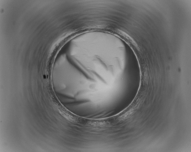 X0000075361027200609251056