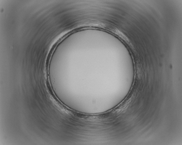 X0000075361028200609251057