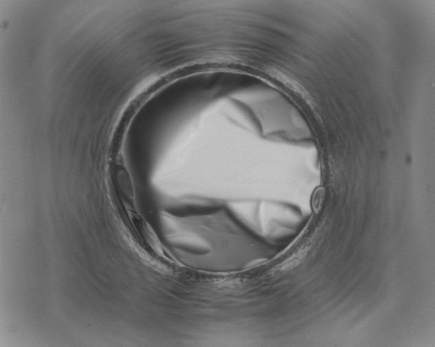 X0000075361029200609251057