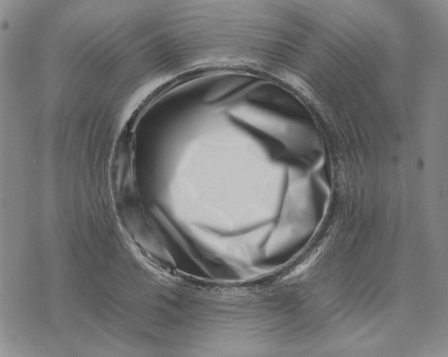 X0000075361030200609251057