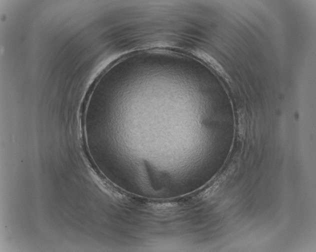 X0000075361031200609251057