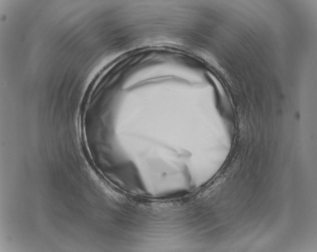 X0000075361032200609251057