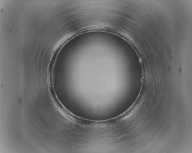 X0000075361034200609251057