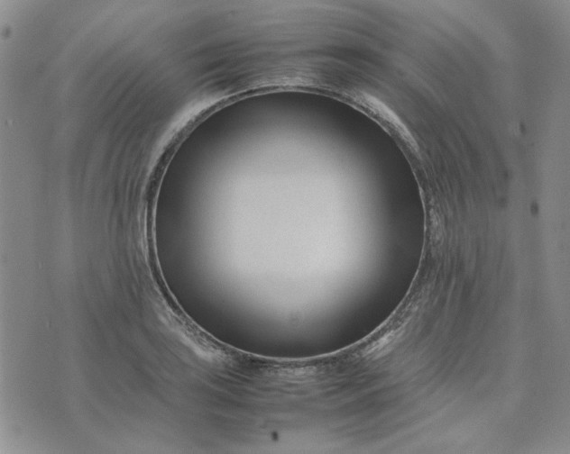 X0000075361035200609251057