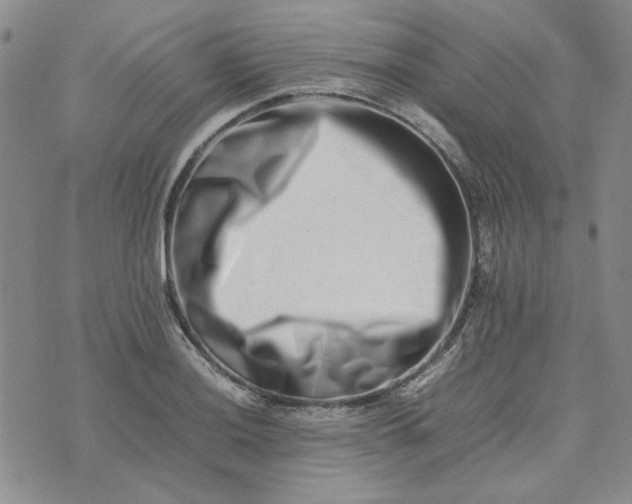 X0000075361036200609251057