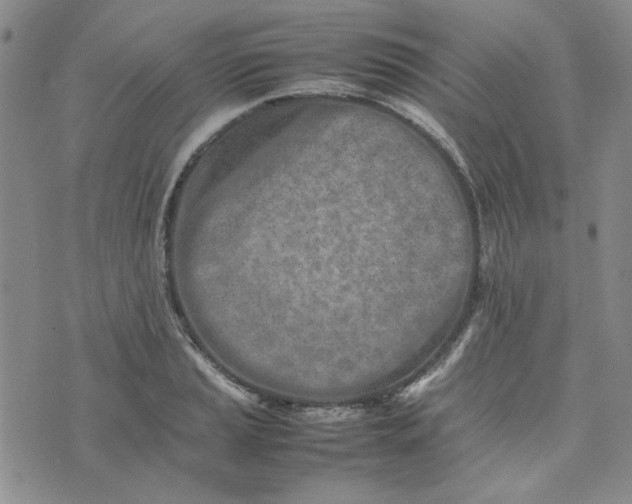 X0000075361037200609251057