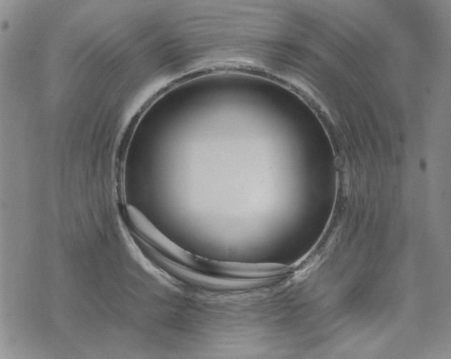 X0000075361038200609251057