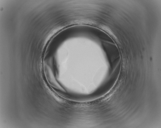 X0000075361040200609251057