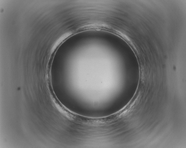 X0000075361042200609251057