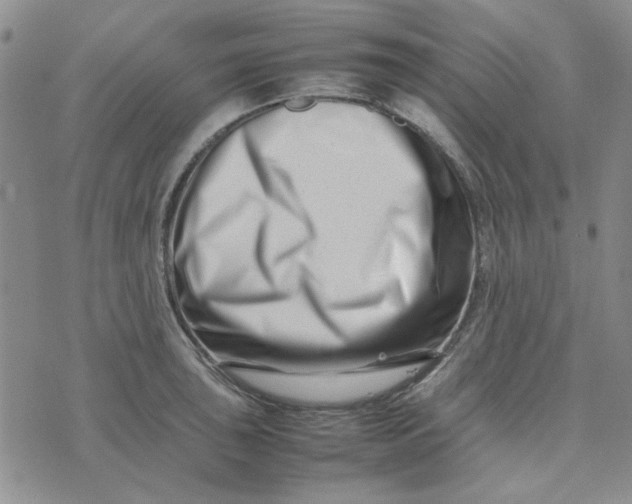 X0000075361043200609251057