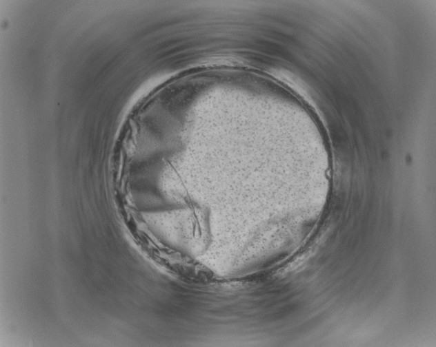 X0000075361045200609251057