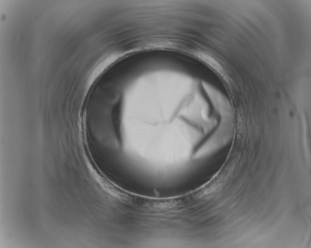 X0000075361047200609251057