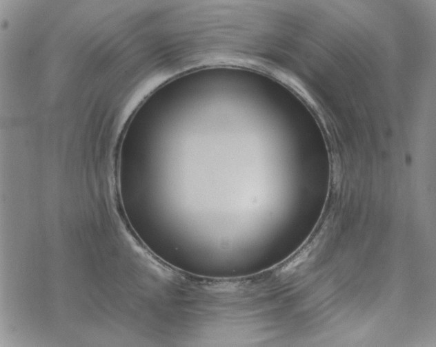 X0000075361048200609251057