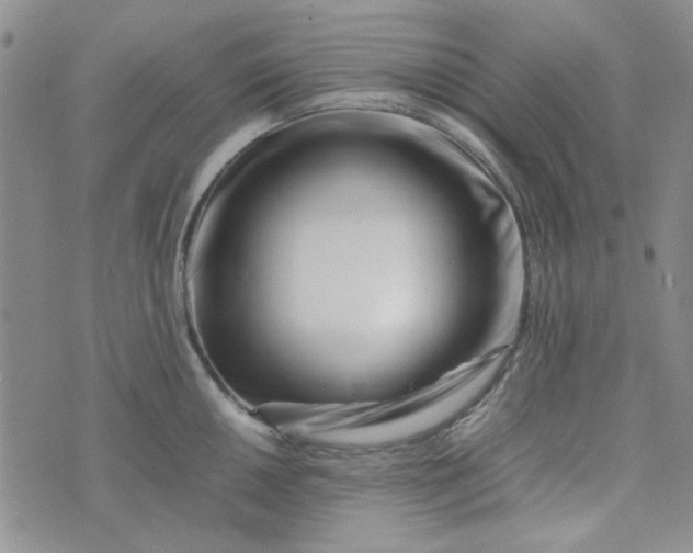 X0000075361050200609251057