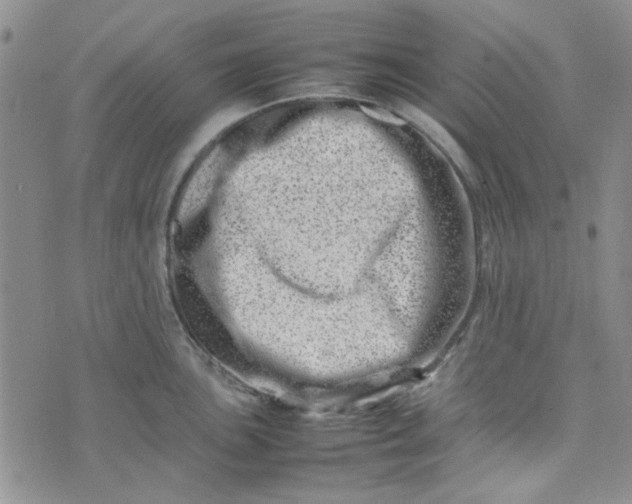 X0000075361051200609251057