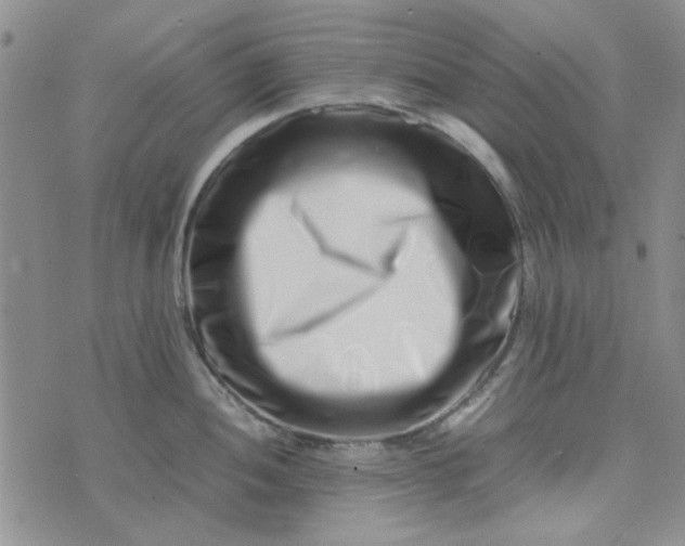 X0000075361052200609251057