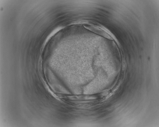 X0000075361053200609251057