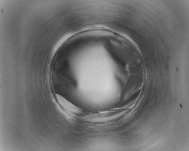 X0000075361054200609251057