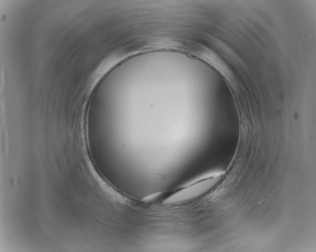 X0000075361055200609251057