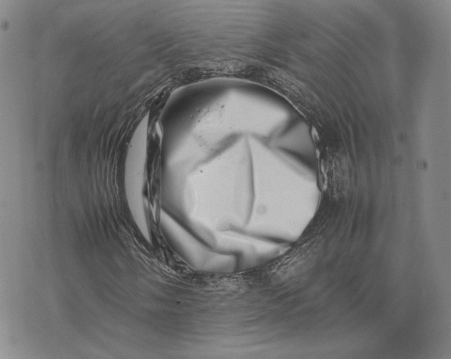 X0000075361058200609251056