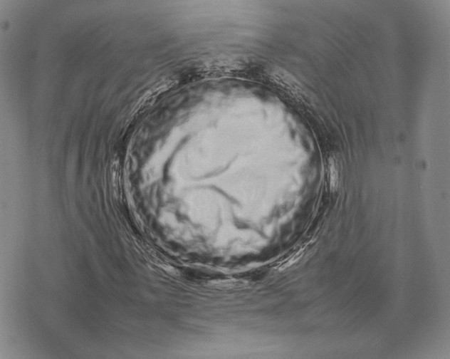 X0000075361059200609251056