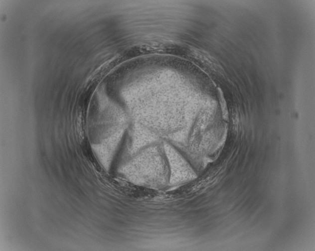 X0000075361060200609251056