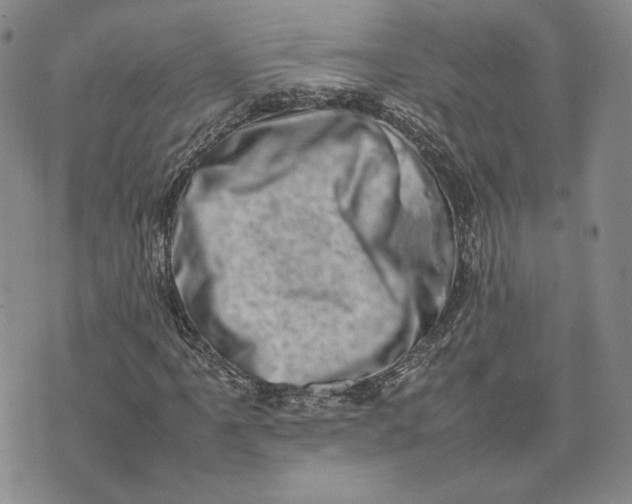 X0000075361061200609251056