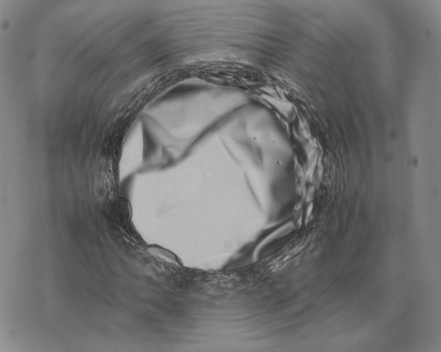 X0000075361062200609251056