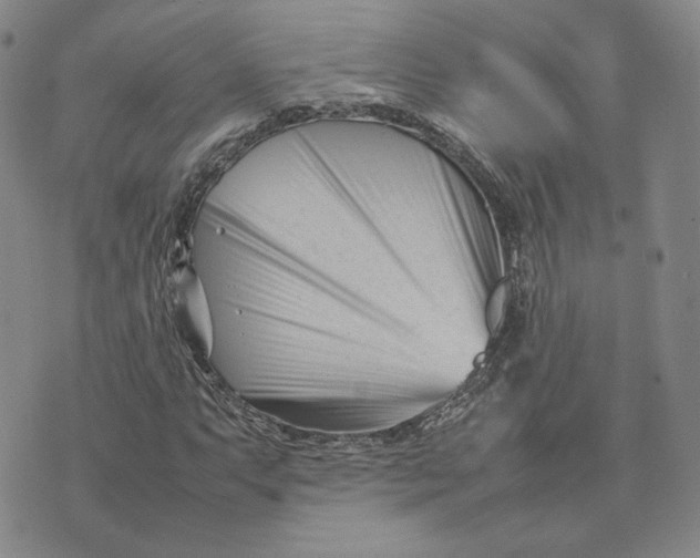 X0000075361063200609251056