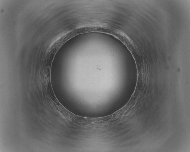 X0000075361064200609251056