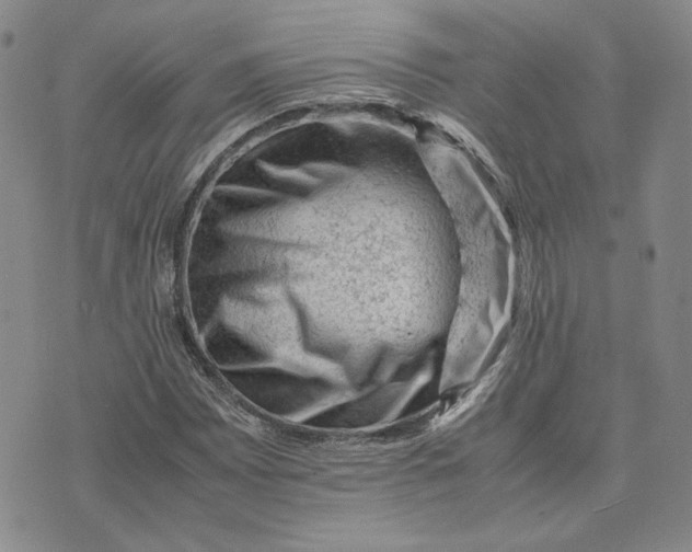 X0000075361065200609251056