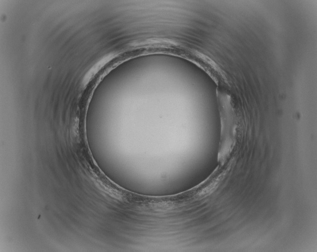 X0000075361066200609251056