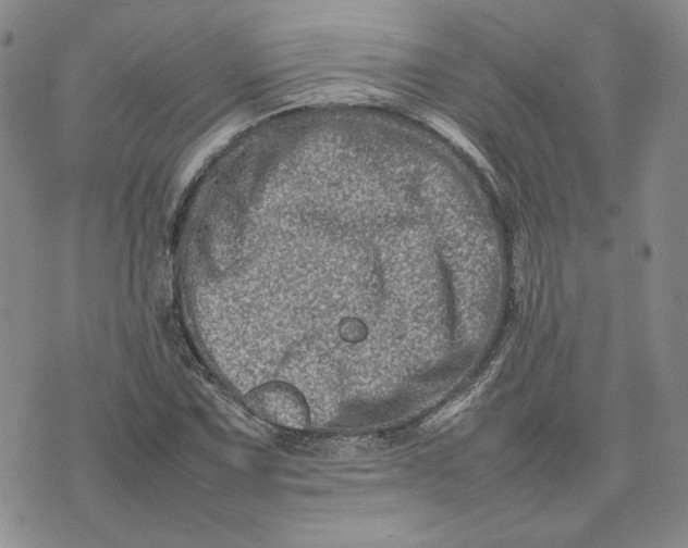 X0000075361067200609251056