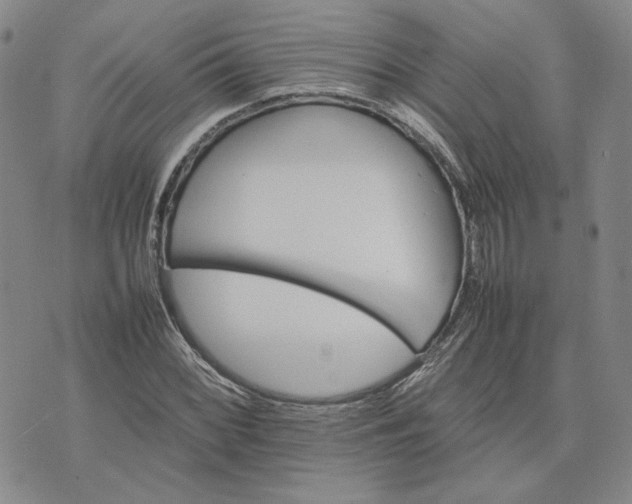 X0000075361068200609251056