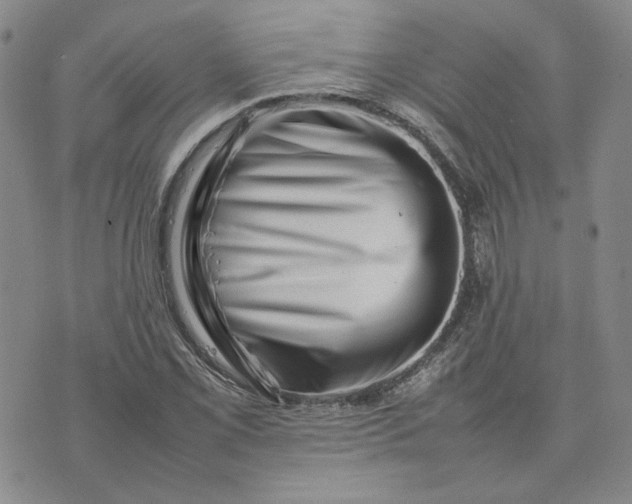 X0000075361069200609251056