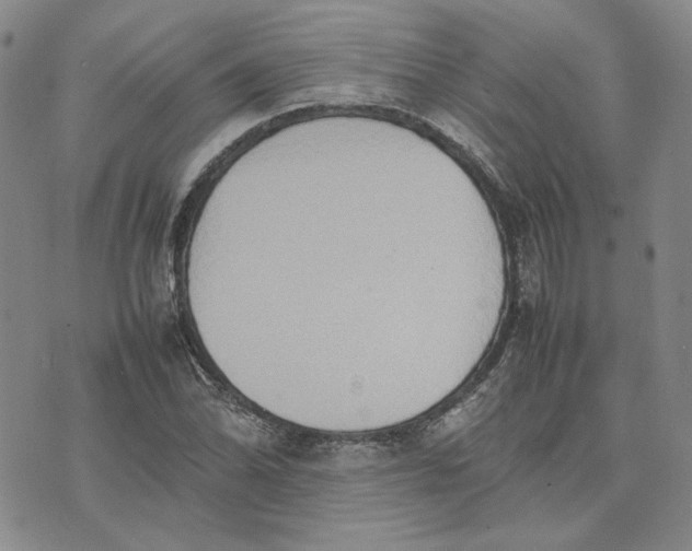 X0000075361070200609251056