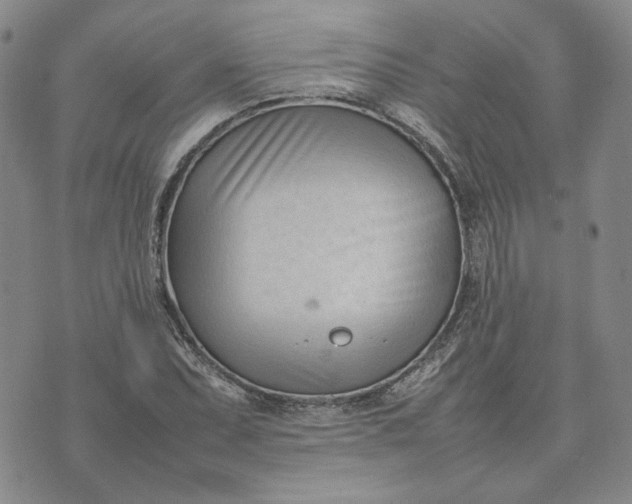 X0000075361071200609251056