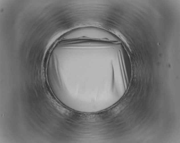 X0000075361072200609251056