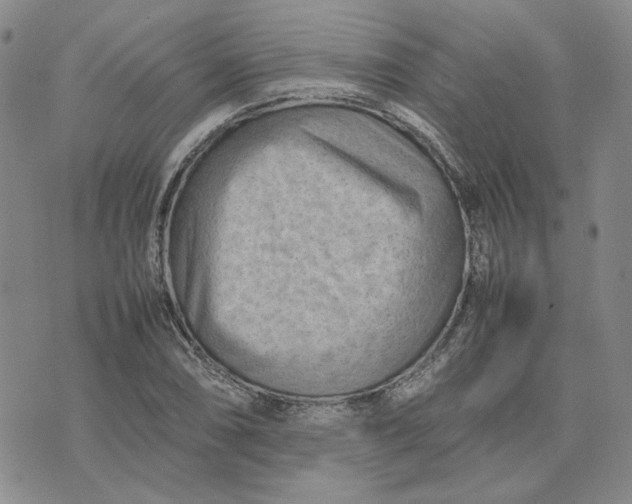 X0000075361074200609251056