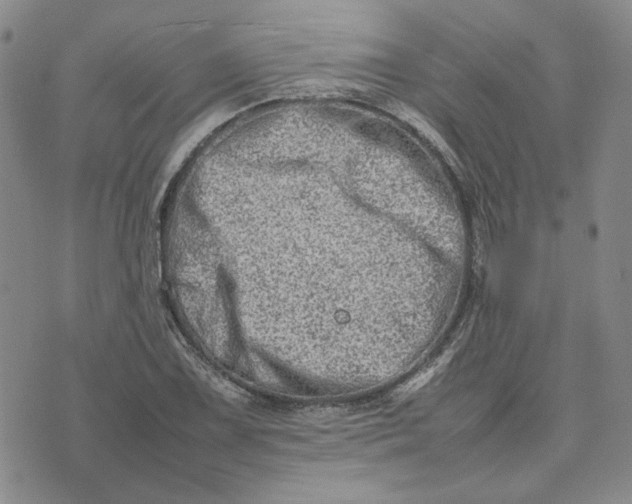 X0000075361075200609251056