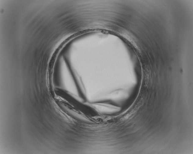 X0000075361076200609251056