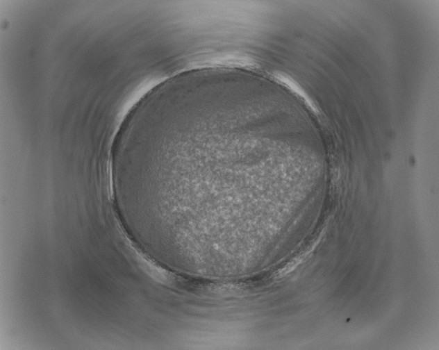 X0000075361079200609251056