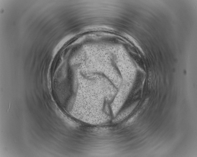 X0000075361082200609251056