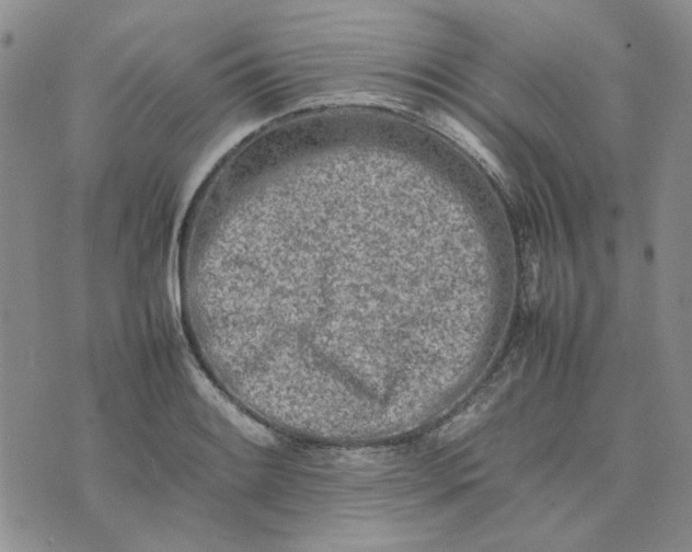 X0000075361084200609251056