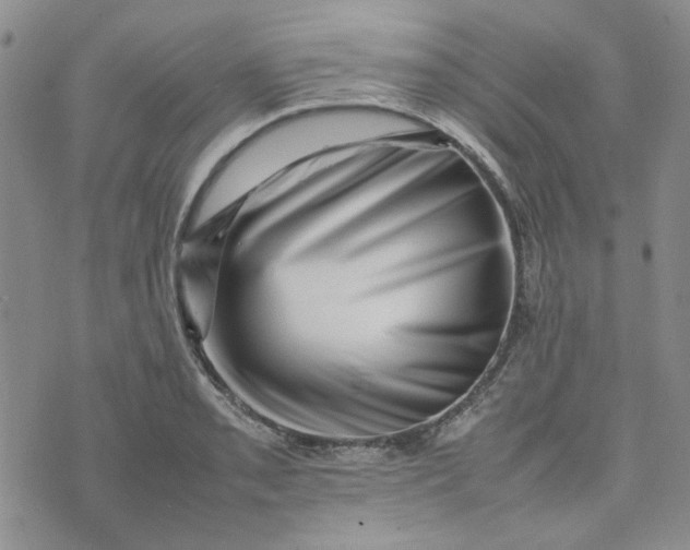 X0000075361085200609251056