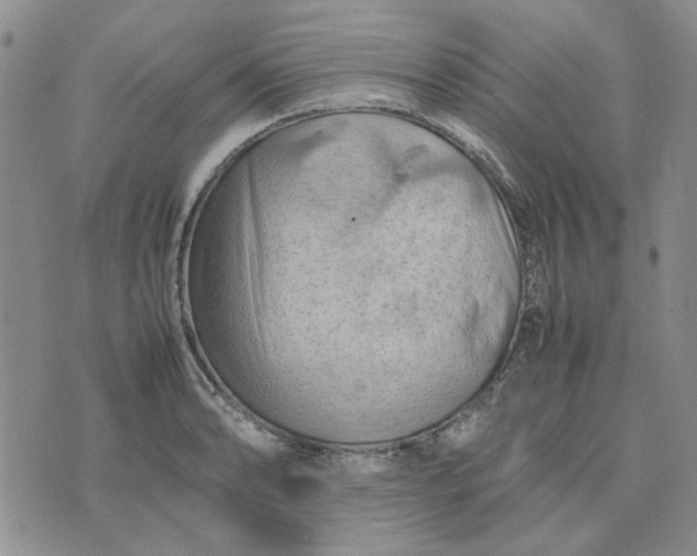 X0000075361086200609251056