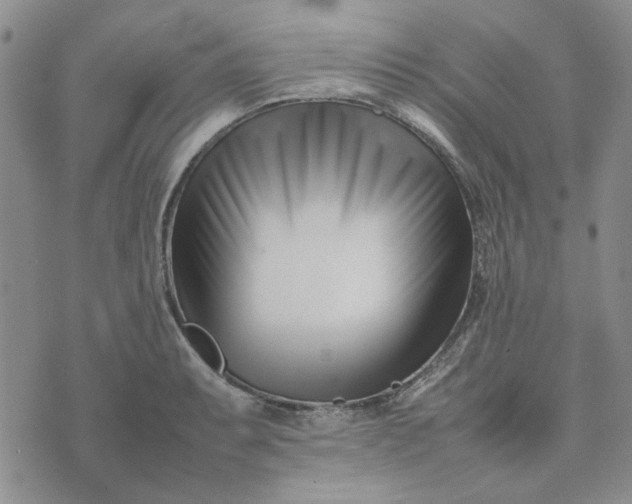 X0000075361087200609251056