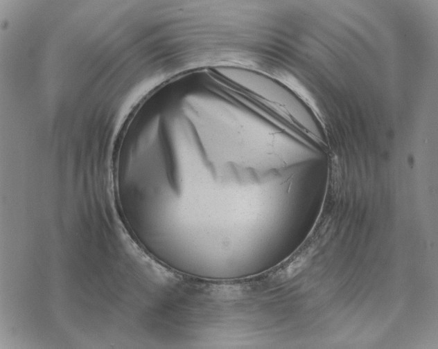 X0000075361088200609251056